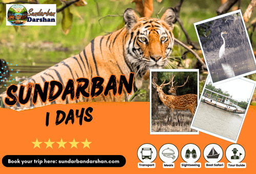 Sundarban 1 Day Tour Package