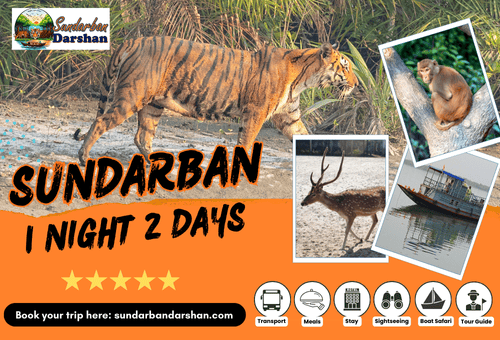 SunSundarban 1 Night 2 Days Tour Package